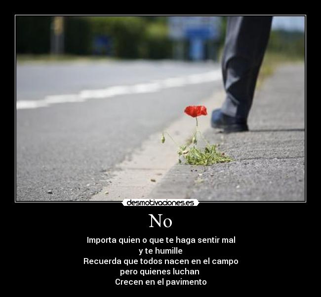 No - Importa quien o que te haga sentir mal
y te humille
Recuerda que todos nacen en el campo
pero quienes luchan 
Crecen en el pavimento