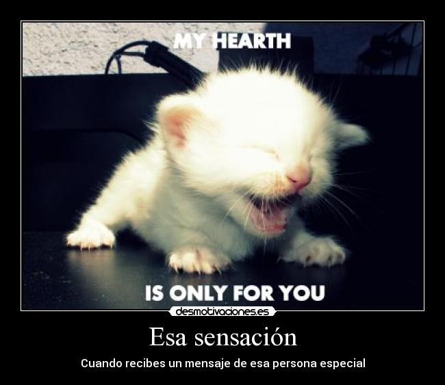 Esa sensación - Cuando recibes un mensaje de esa persona especial
