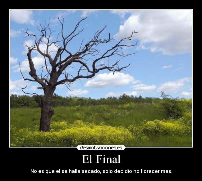 El Final -