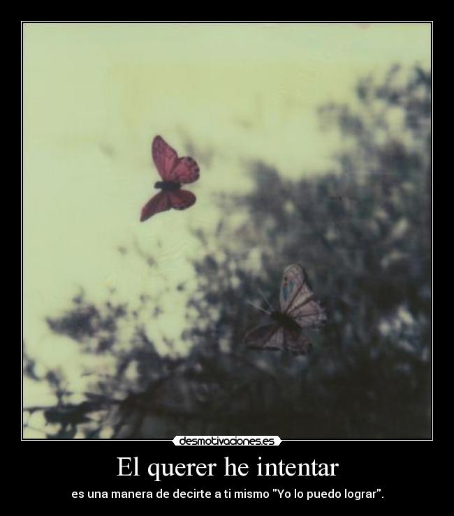 El querer he intentar - es una manera de decirte a ti mismo Yo lo puedo lograr.