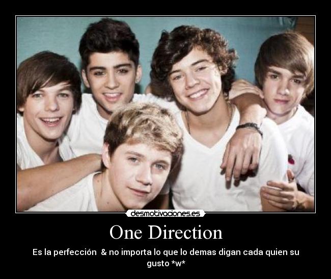 One Direction - Es la perfección & no importa lo que lo demas digan cada quien su gusto *w*