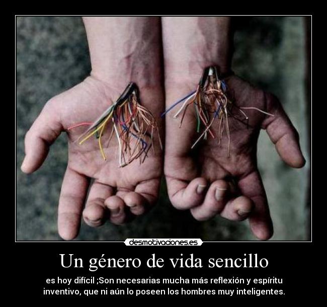 carteles vida vida desmotivaciones