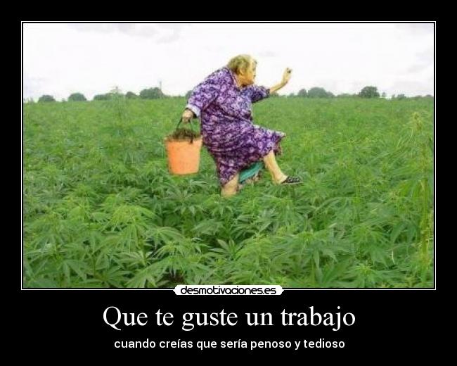 carteles trabajo gustar trabajo creer tedioso desmotivaciones