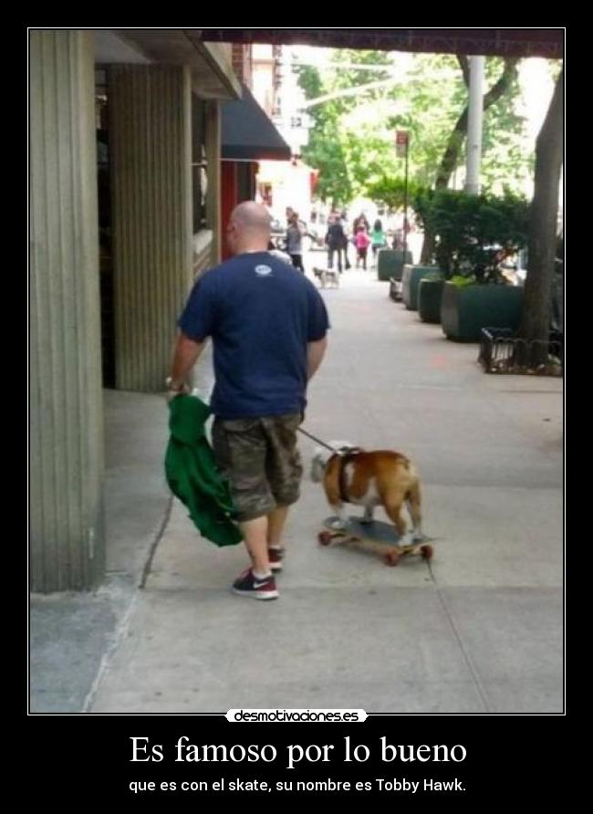 Es famoso por lo bueno - que es con el skate, su nombre es Tobby Hawk.