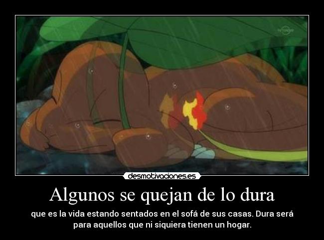 Algunos se quejan de lo dura - que es la vida estando sentados en el sofá de sus casas. Dura será
para aquellos que ni siquiera tienen un hogar.