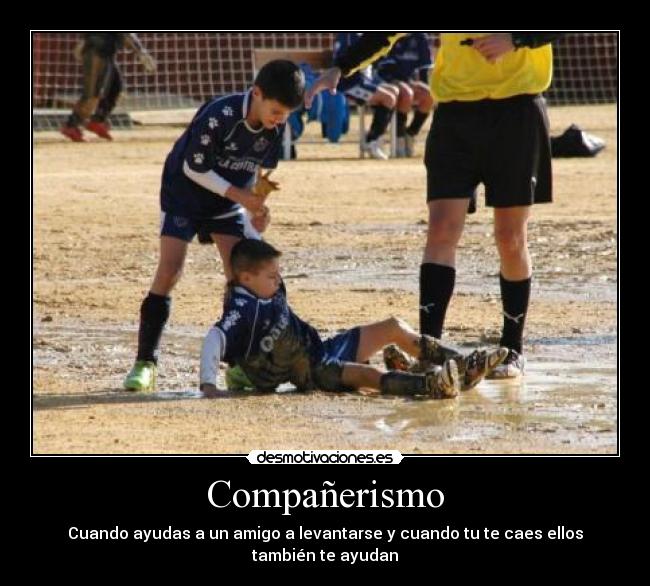 Compañerismo -
