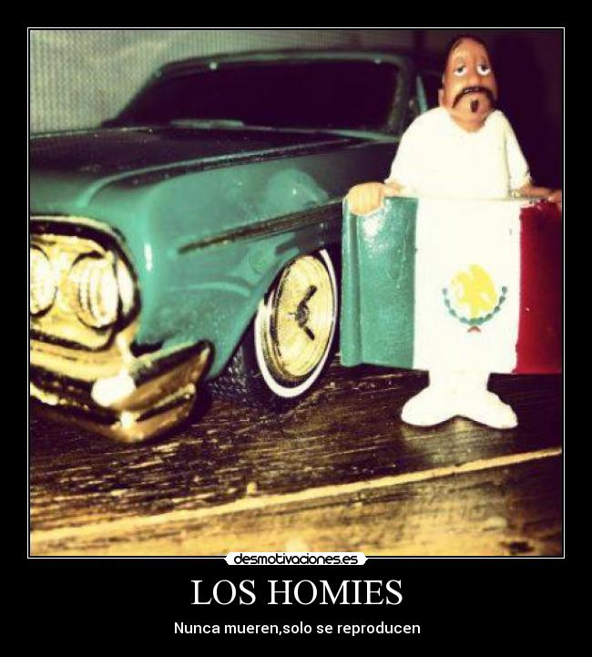 carteles cholos desmotivaciones