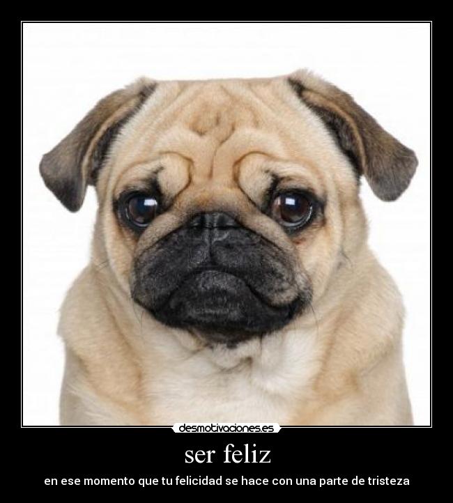 carteles 1110 desmotivaciones