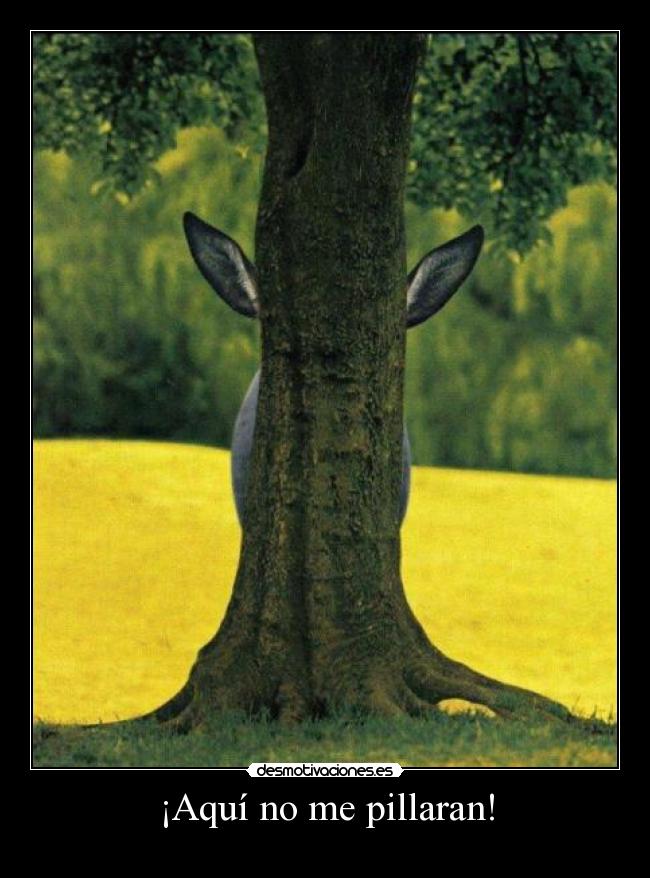 ¡Aquí no me pillaran! -