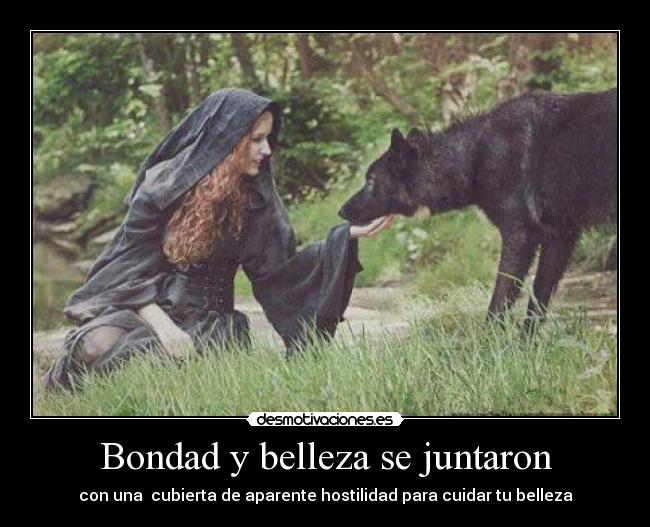 carteles bondad belleza desmotivaciones