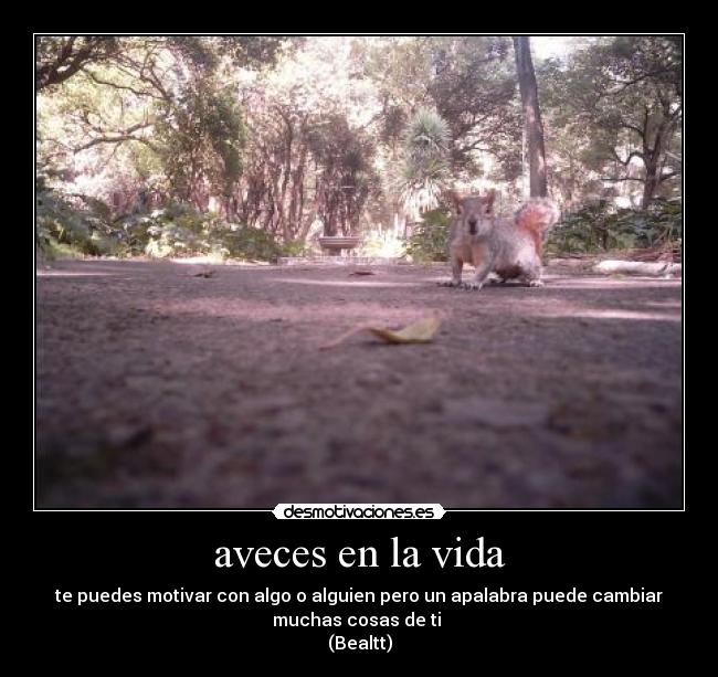 aveces en la vida - 