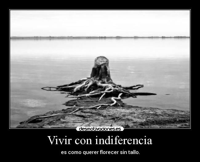 carteles indiferencia desmotivaciones