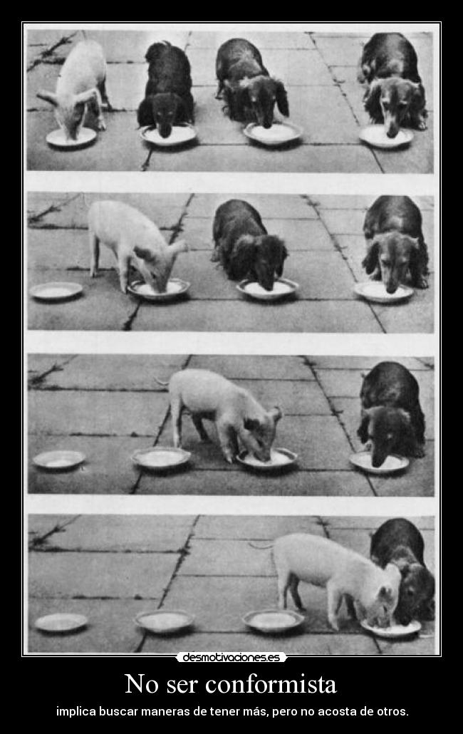 No ser conformista - implica buscar maneras de tener más, pero no acosta de otros.