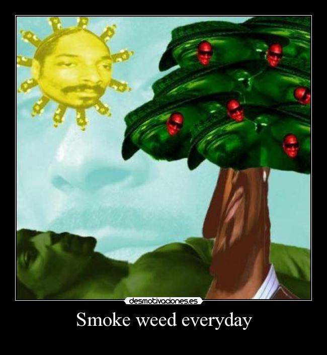 carteles snoop dogg amor desmotivaciones