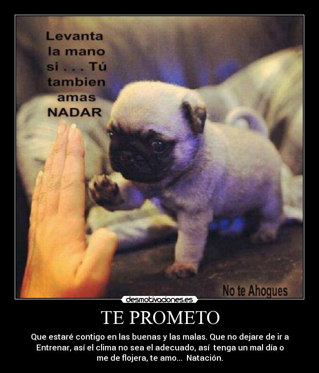 TE PROMETO - Que estaré contigo en las buenas y las malas. Que no dejare de ir a
Entrenar, así el clima no sea el adecuado, así  tenga un mal día o
me de flojera, te amo...  Natación.