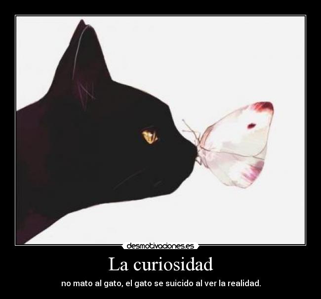 La curiosidad - 