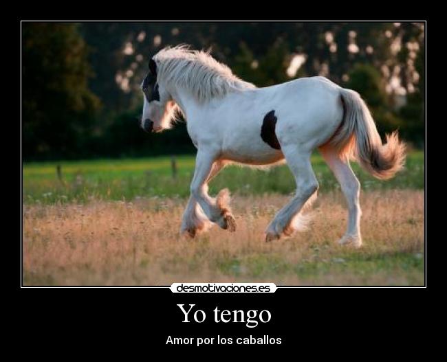 carteles animales desmotivaciones