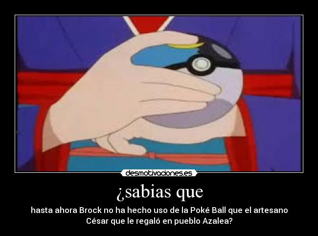 ¿sabias que - hasta ahora Brock no ha hecho uso de la Poké Ball que el artesano
César que le regaló en pueblo Azalea?