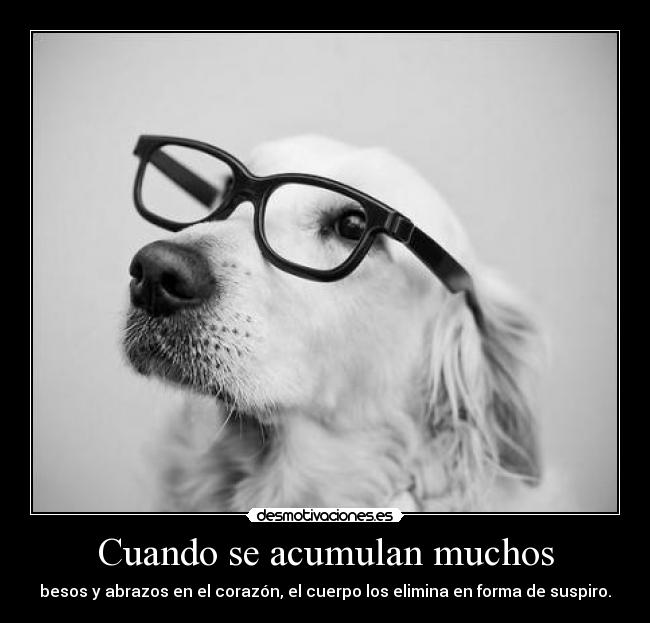 Cuando se acumulan muchos - besos y abrazos en el corazón, el cuerpo los elimina en forma de suspiro.