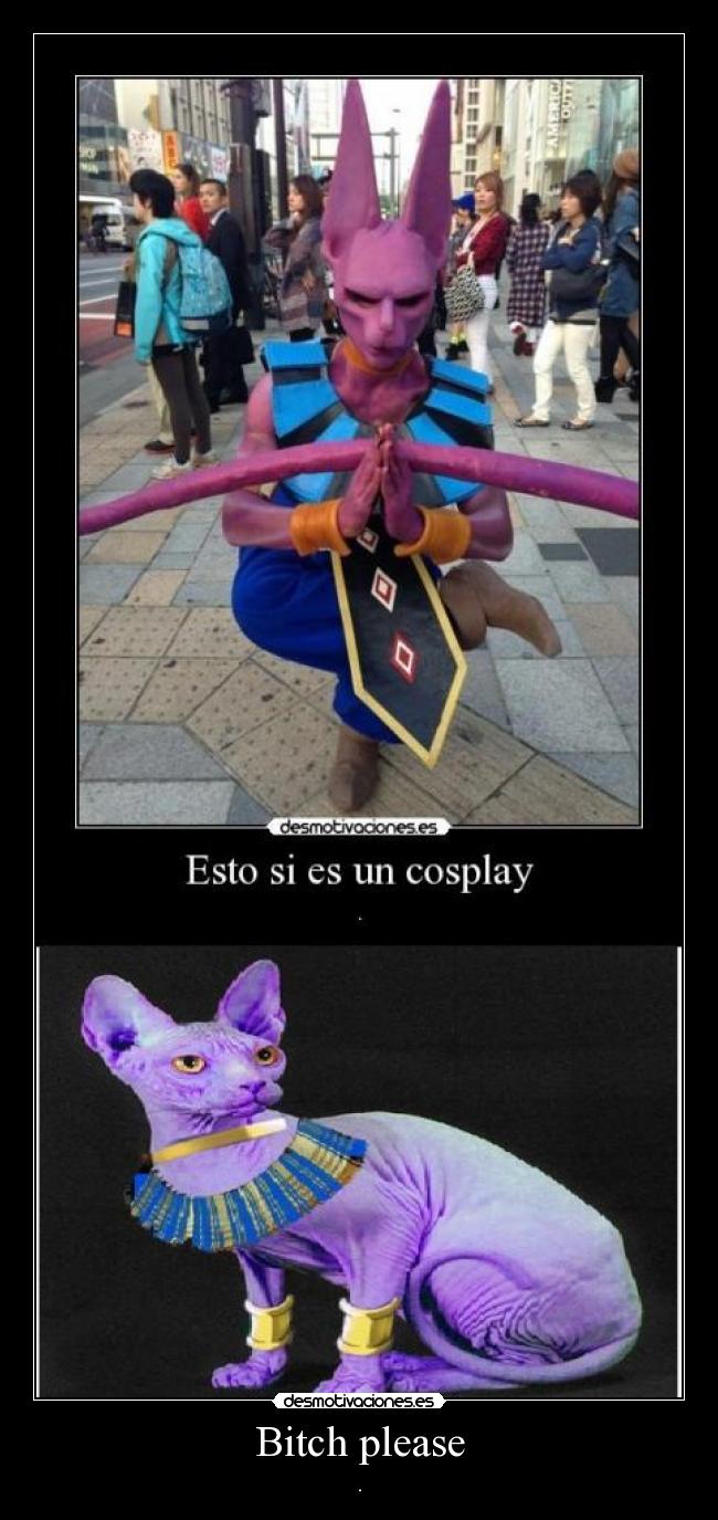 carteles anime otaku bills dbz batalla los dioses desmotivaciones