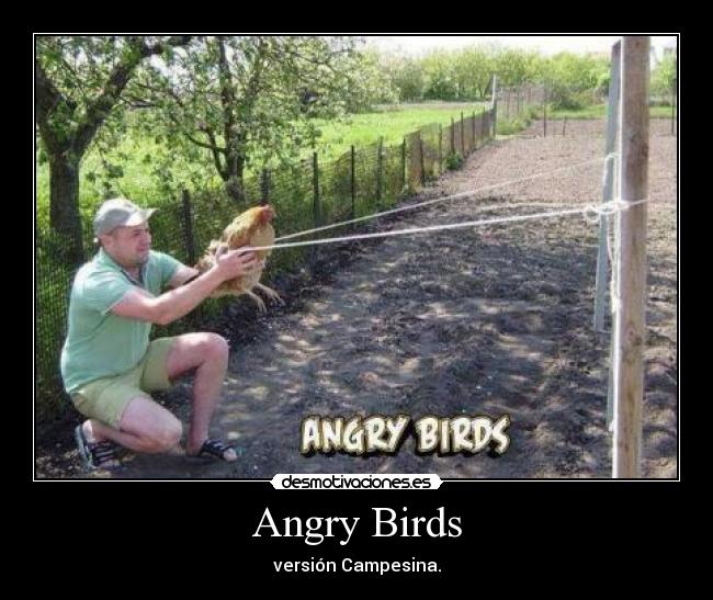 Angry Birds -