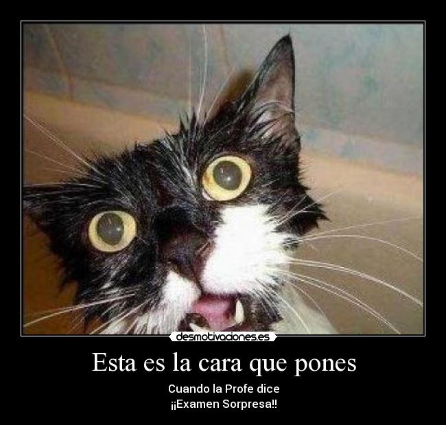 Esta es la cara que pones - 