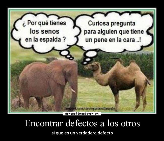 carteles los defectos desmotivaciones