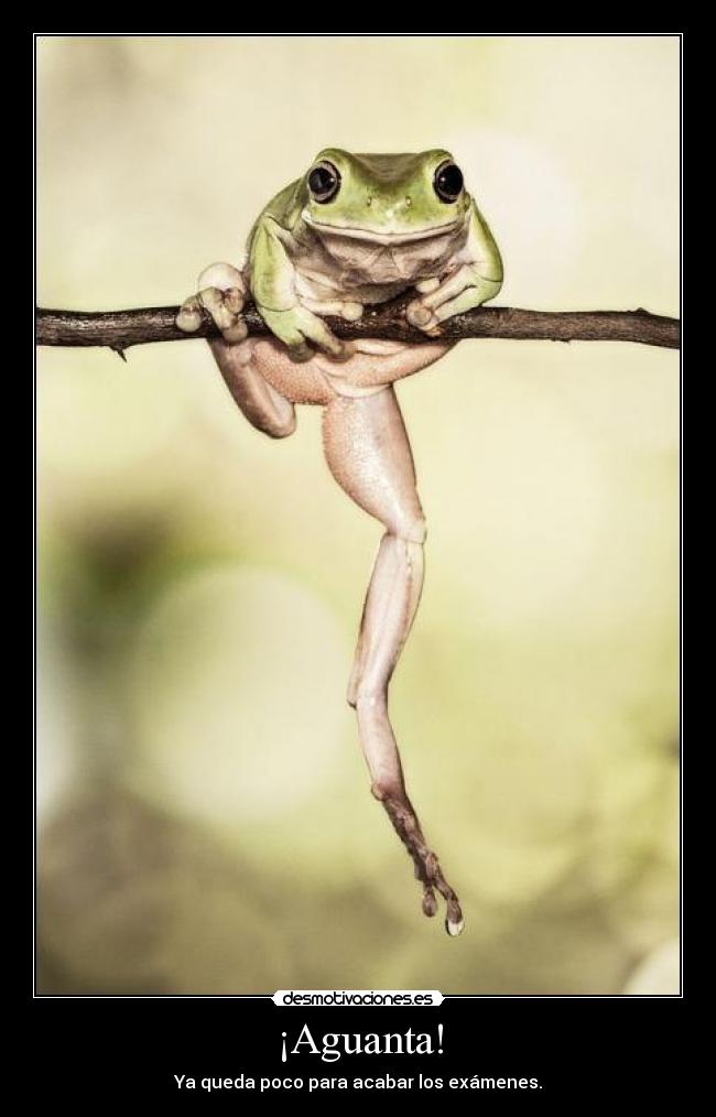 ¡Aguanta! - Ya queda poco para acabar los exámenes.