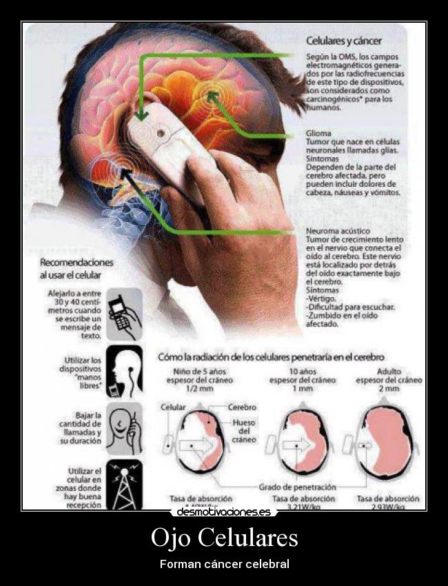 Ojo Celulares - Forman cáncer celebral