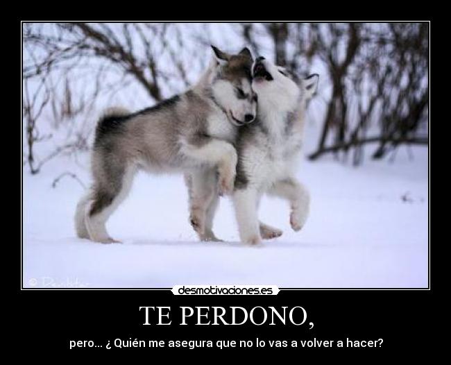 TE PERDONO, - 