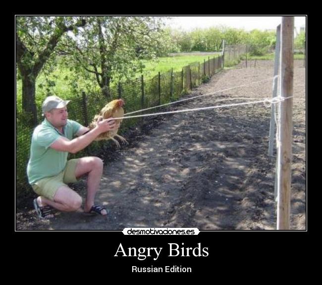 Angry Birds - Russian Edition