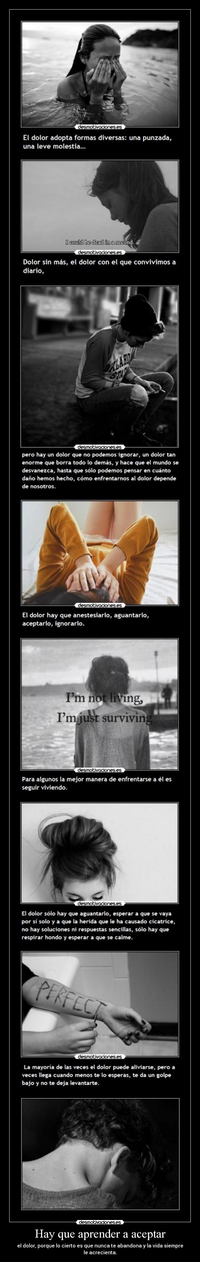 Hay que aprender a aceptar - el dolor, porque lo cierto es que nunca te abandona y la vida siempre le acrecienta.