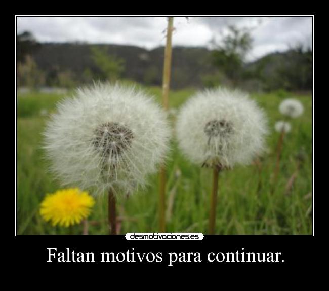 Faltan motivos para continuar. -