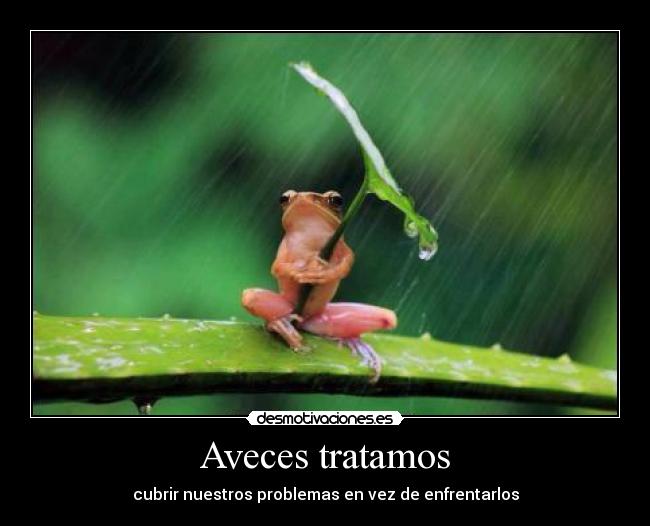 Aveces tratamos - 