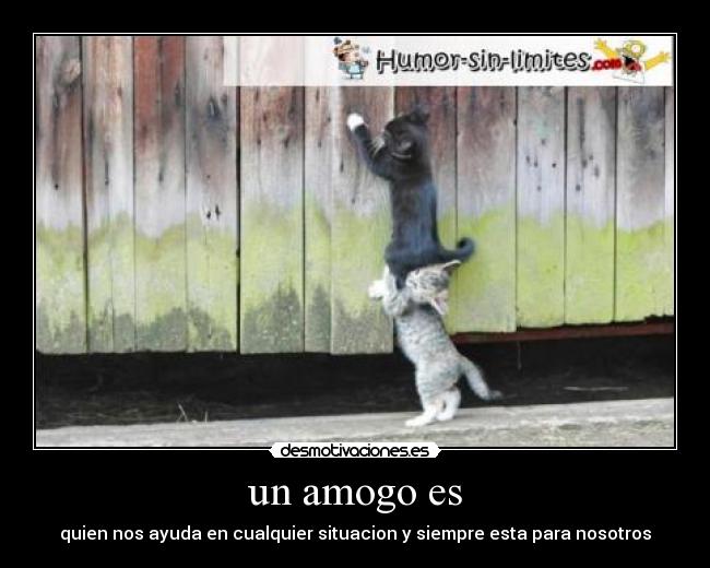 un amogo es - quien nos ayuda en cualquier situacion y siempre esta para nosotros