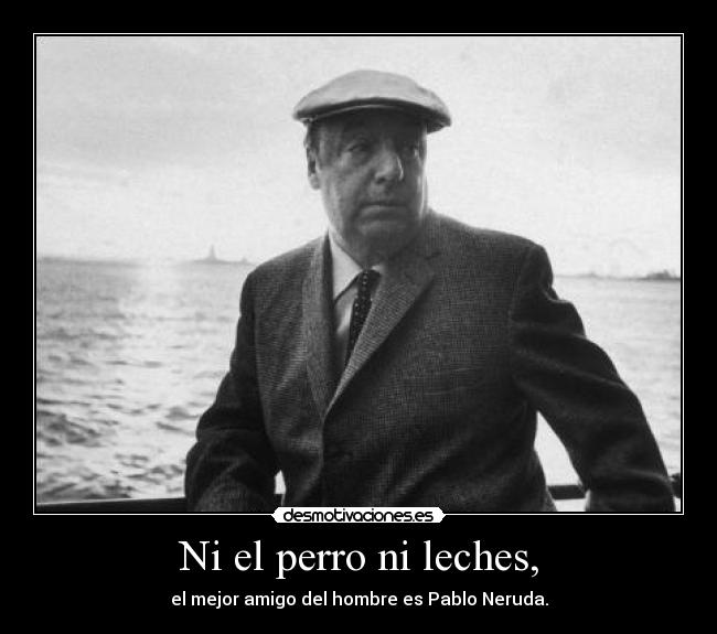 Ni el perro ni leches, -