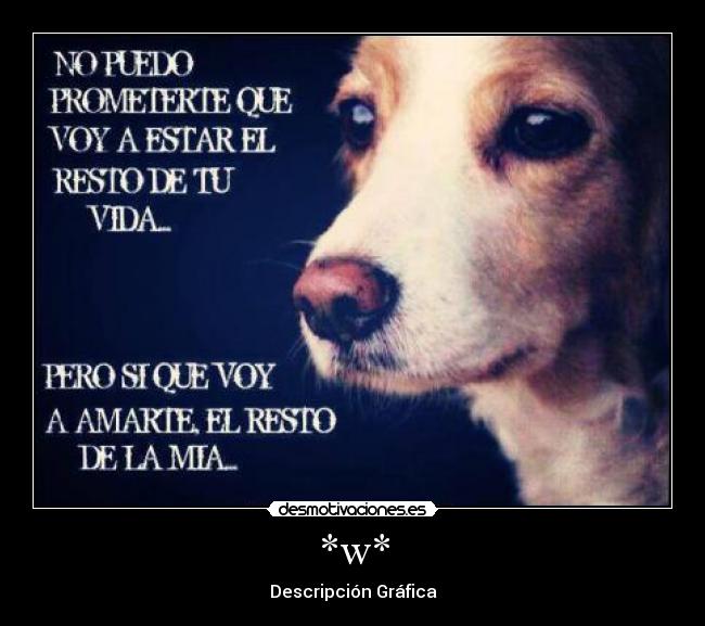 *w* - Descripción Gráfica