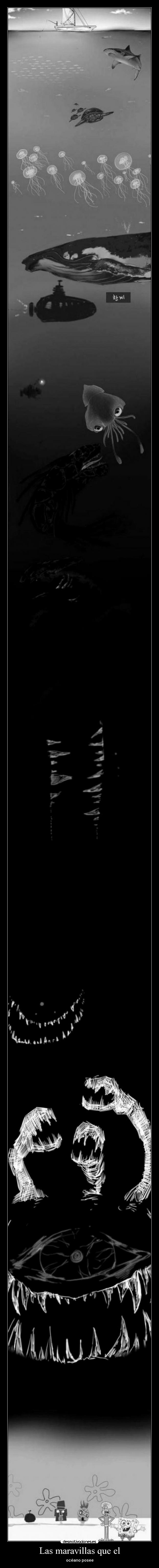 Las maravillas que el - océano posee