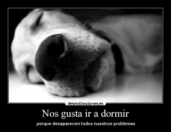 carteles dormir dormir desaparecer problemas desmotivaciones