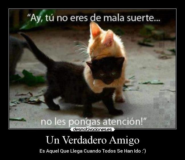 Un Verdadero Amigo - Es Aquel Que Llega Cuando Todos Se Han Ido :)