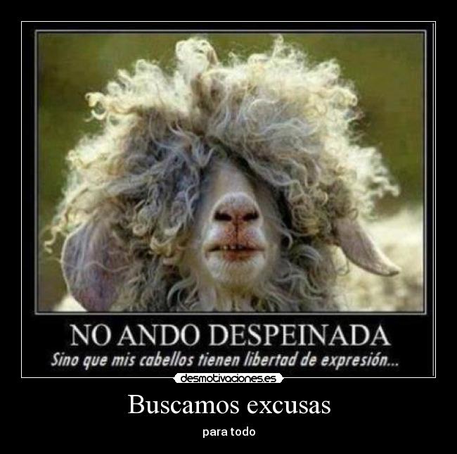 Buscamos excusas - para todo