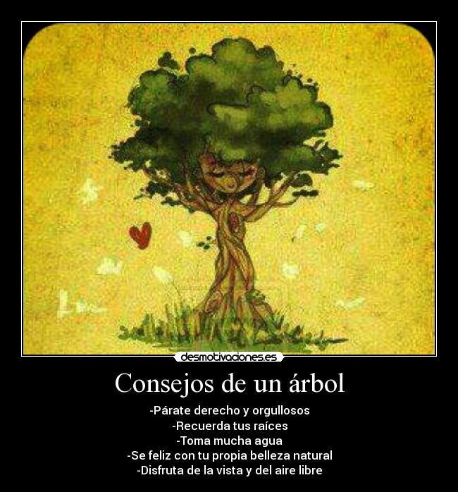 Consejos de un árbol - -Párate derecho y orgullosos
-Recuerda tus raíces
-Toma mucha agua
-Se feliz con tu propia belleza natural
-Disfruta de la vista y del aire libre
