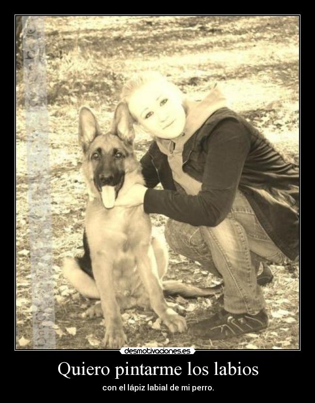carteles perrito desmotivaciones