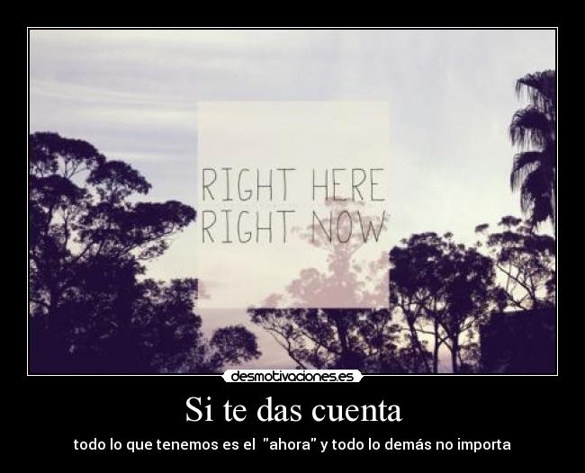 Si te das cuenta - todo lo que tenemos es el  ahora y todo lo demás no importa