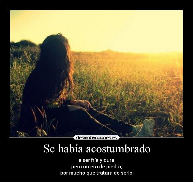 Se había acostumbrado -