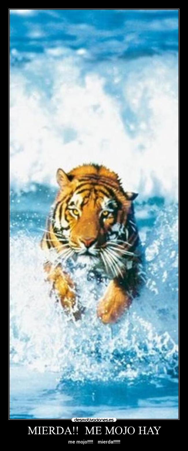 MIERDA!! ME MOJO HAY - me mojo!!!!! mierda!!!!!!