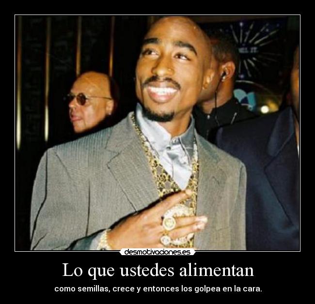 Lo que ustedes alimentan - como semillas, crece y entonces los golpea en la cara.