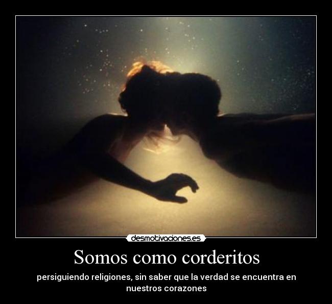 Somos como corderitos - persiguiendo religiones, sin saber que la verdad se encuentra en nuestros corazones