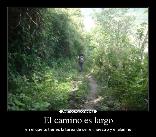 carteles refleccionando desmotivaciones