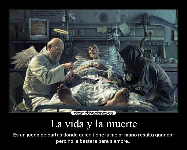 carteles vida muerte vida muerte desmotivaciones